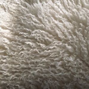 Meet your Posher, Kaleb